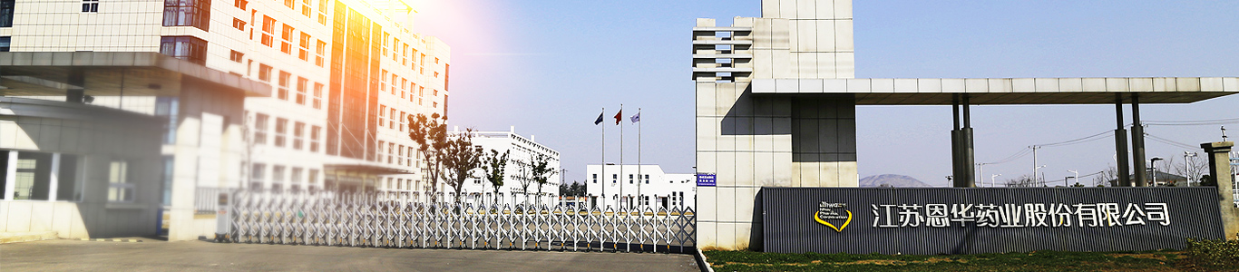 Company Profile